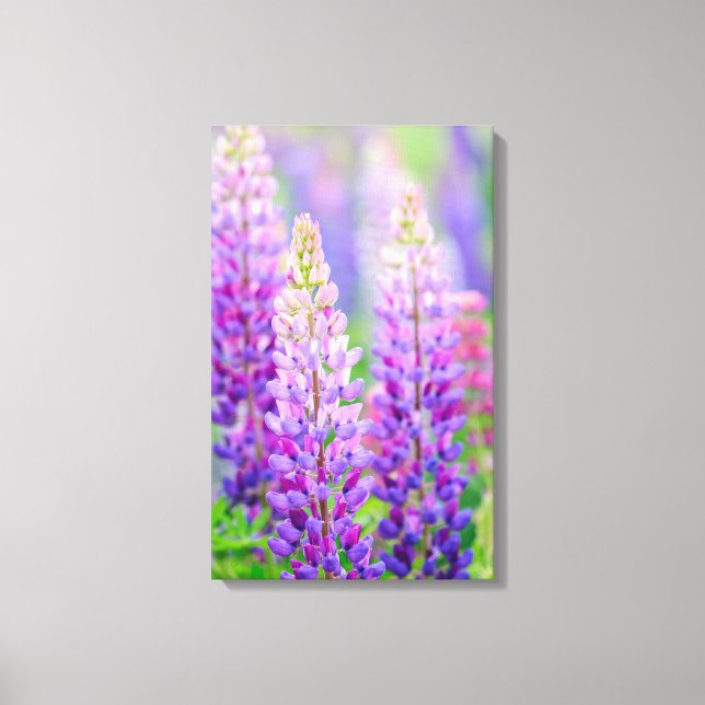 Purple Lupin Wrapped Canvas (Front)