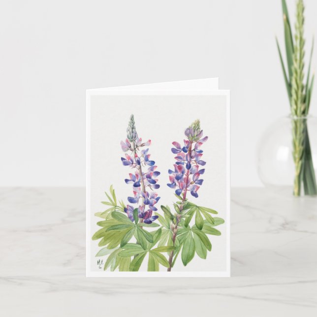 Purple Lupine Botanical Illustration Note Card (Front)