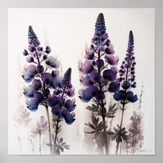 Purple Lupine Flower Art Print Poster (Front)
