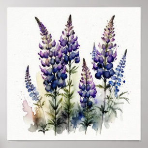 Purple Lupine Flower Art Print Poster