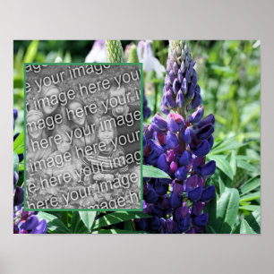 Purple Lupine Flower Frame Add Your Photo Poster