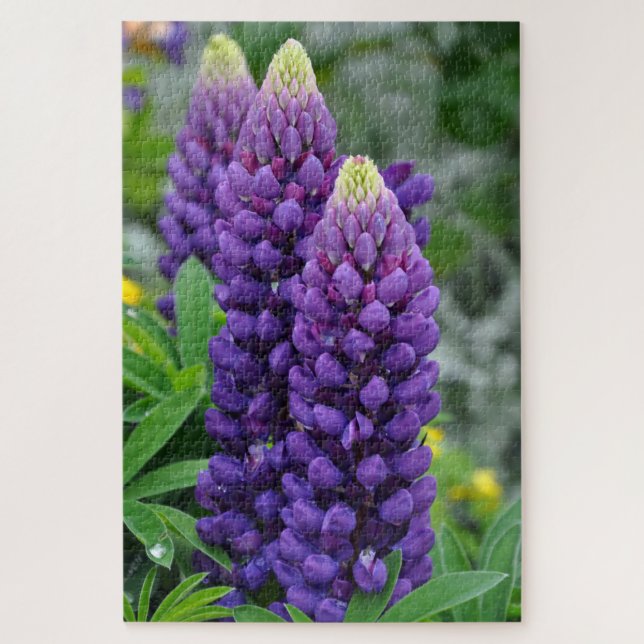 Purple lupine flowers jigsaw puzzle (Vertical)