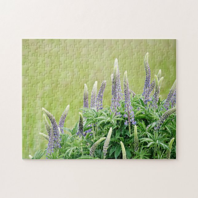 Purple Lupine Flowers Jigsaw Puzzle (Horizontal)