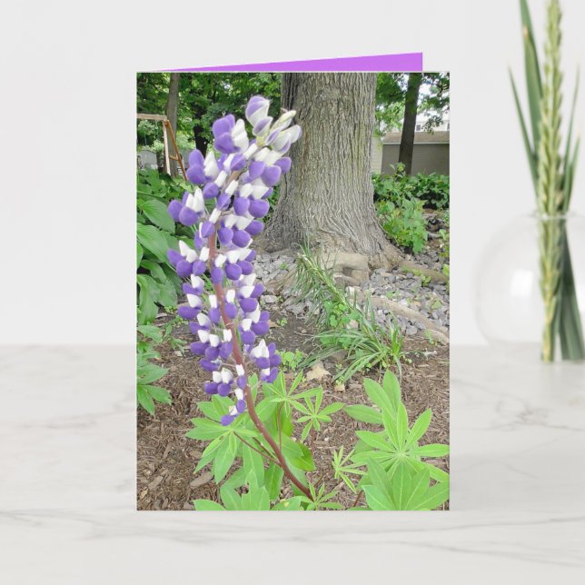 Purple Lupines Blank Card (Front)