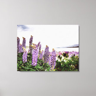 Purple Lupins Flowers : New Zealand Canvas