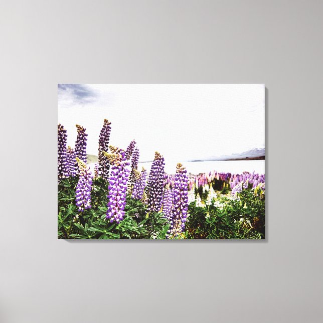 Purple Lupins Flowers : New Zealand Canvas (Front)