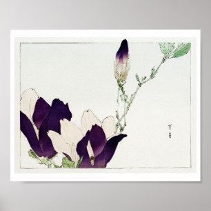 Purple Magnolia Flower, Watanabe Seitei Poster