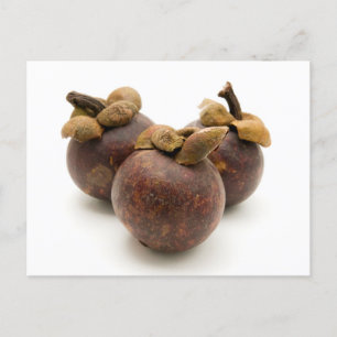 Purple Mangosteen Postcard