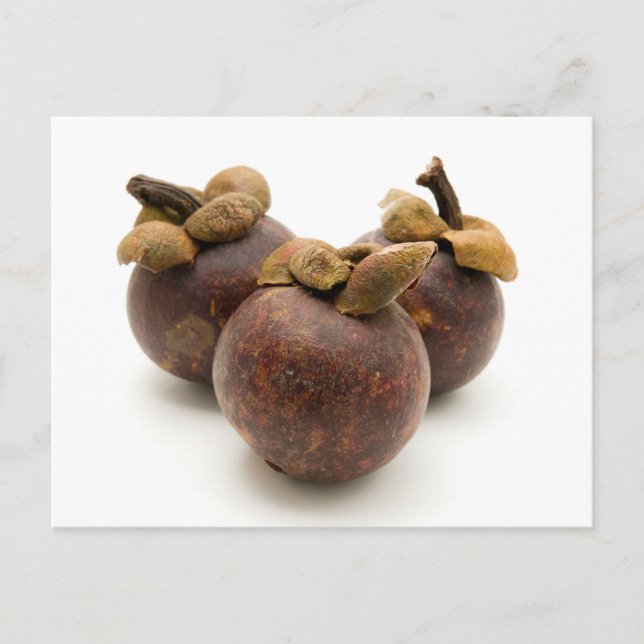 Purple Mangosteen Postcard (Front)