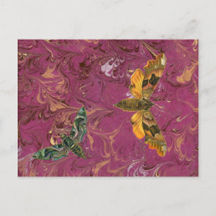 Purple Marbled Moth Postcard