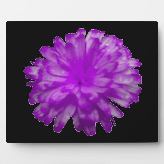 Purple Marigold Plaque (Front)