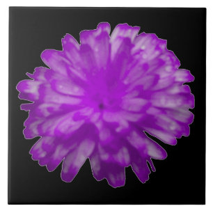 Purple Marigold Tile