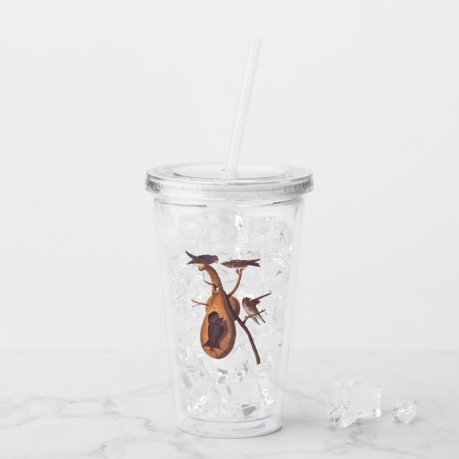 Purple Martin Audubon Bird Family and Gourd Home Acrylic Tumbler (Back Ice)