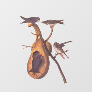 Purple Martin Audubon Bird Family and Gourd Home Window Cling