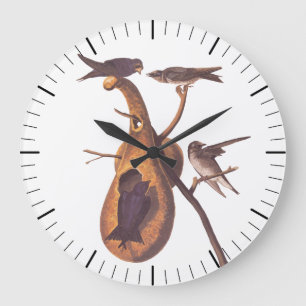 Purple Martin Audubon Birds with Gourd Home Large Clock