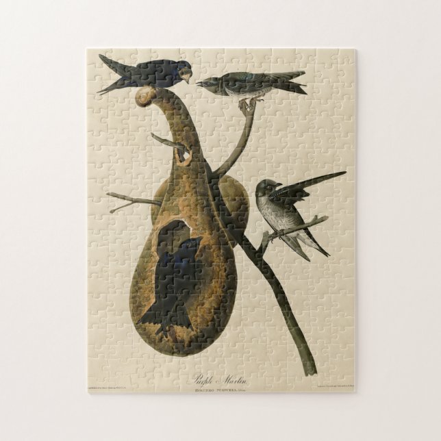 Purple Martin from Audubon's Birds of America Jigsaw Puzzle (Vertical)