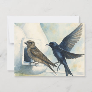 Purple Martin Landlord Nature Swallow Bird Gourds Postcard