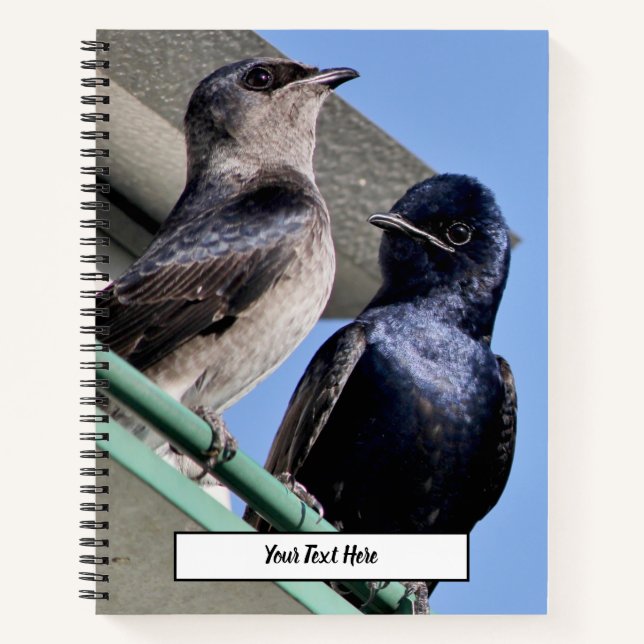 Purple Martin Notebook (Front)