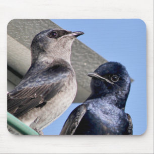 Purple Martin Pair Mouse Mat
