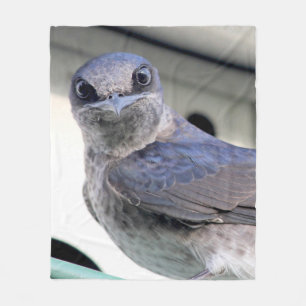 Purple Martin Stare Down Fleece Blanket