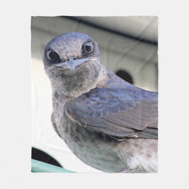 Purple Martin Stare Down Fleece Blanket (Front)