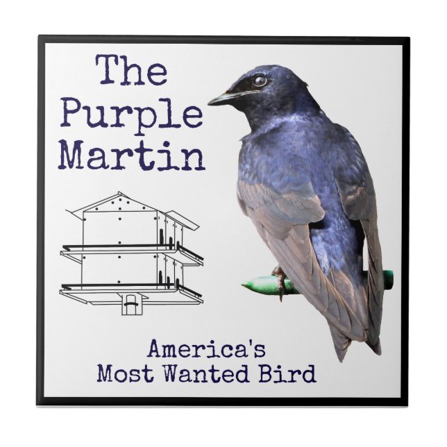 Purple Martin Tile (Front)