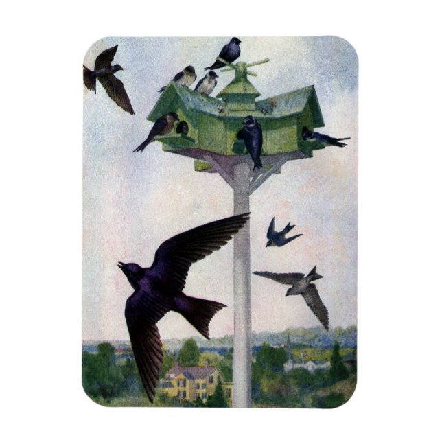 Purple Martins and Their Birdhouse Magnet (Vertical)