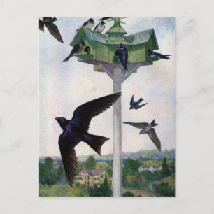 Purple Martins and Their Birdhouse Postcard