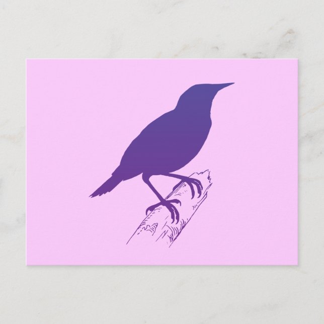 Purple Meadow Lark Postcard (Front)