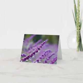 Purple Mexican Sage Card
