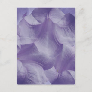 Purple Moon Flower Petals Postcard