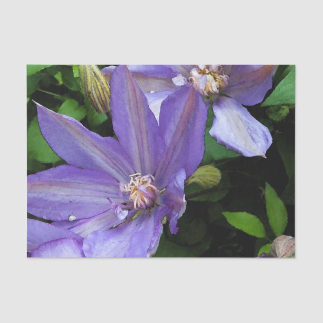 Purple Morning Glory Decoupage Tissue Paper (Front)