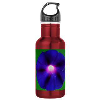 Purple Morning Glory Flower 532 Ml Water Bottle
