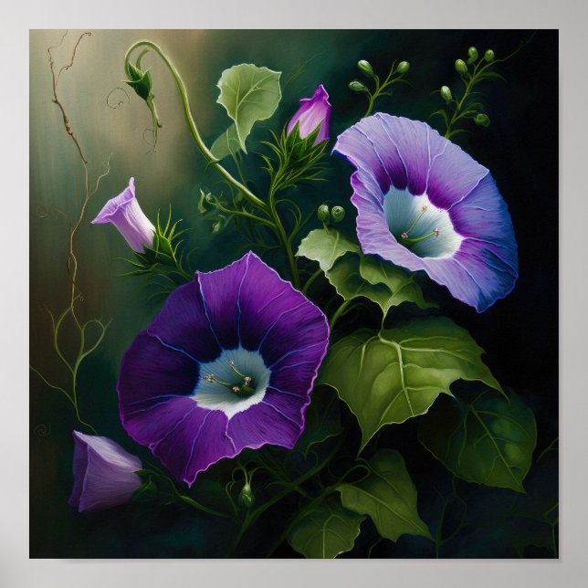 Purple Morning Glory Flower Art Print Poster (Front)