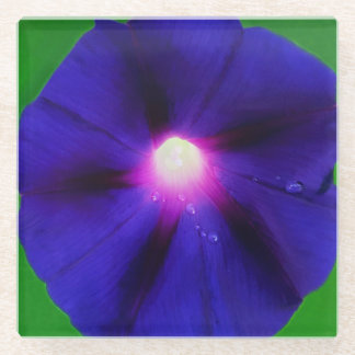 Purple Morning Glory Flower Glass Coaster