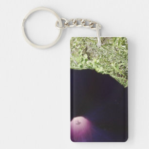 Purple Morning Glory Flower Key Chain