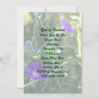 Purple Morning Glory Flowers Party