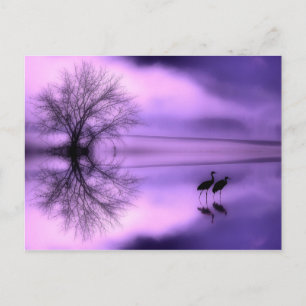 Purple Morning Post Card