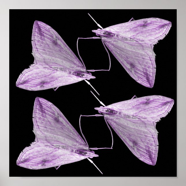 Purple Moth Art Print (Front)