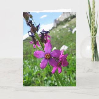 Purple Mountain Wildflower Note Card