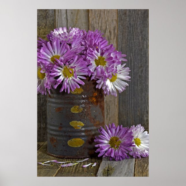 purple mum flowers in rusty tin can poster (Front)