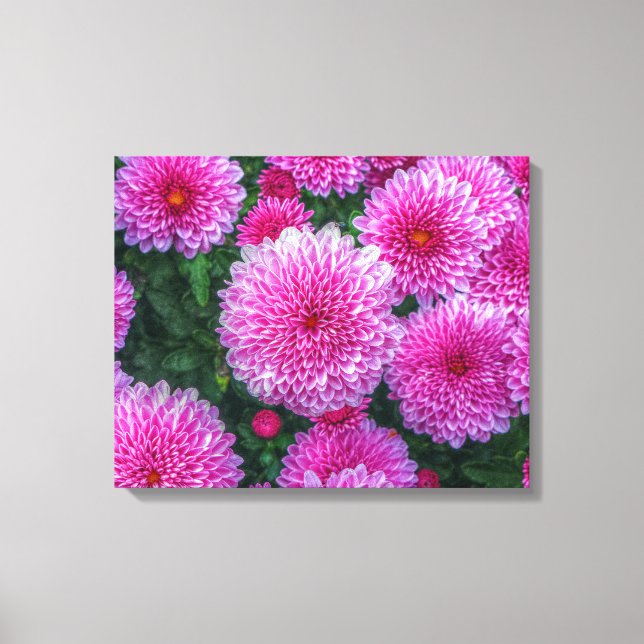 Purple Mums Canvas Print (Front)