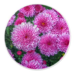 Purple Mums Ceramic Knob