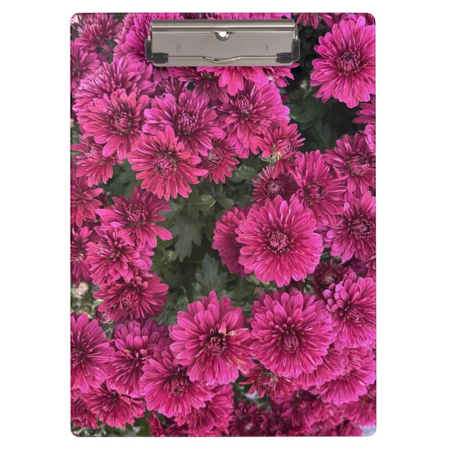 Purple Mums Clipboard (Front)