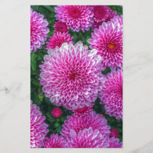 Purple Mums Stationery