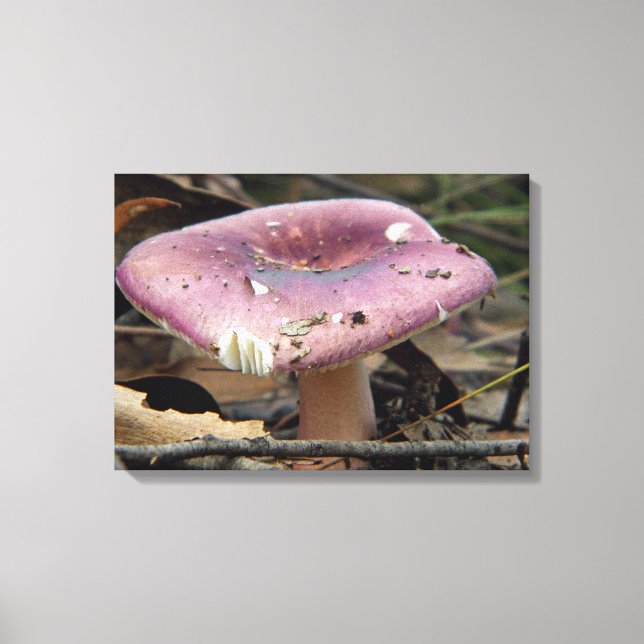 Purple Mushroom Wrapped Canvas (Front)