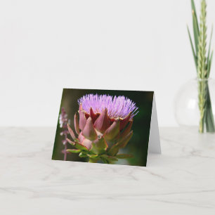 "PURPLE MUSK THISTLE"/PHOTOG. NOTECARD