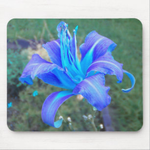 Purple N  Turquoise Daylily Mousepad