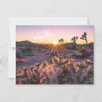Purple & Orange Cholla Cactus Joshua Tree Sunset