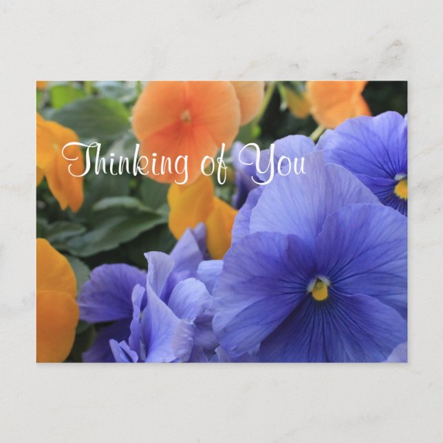 Purple & Orange Pansies w/ Green Floral Photo 4810 Postcard (Front)